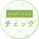 コンディションチェック