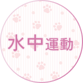 動物生態