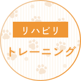 動物生態
