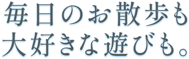 毎日のお散歩も大好きな遊びも。