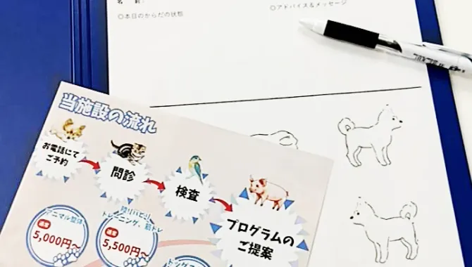 動物の診療フローを説明するパンフレットと診察用の書類、黒いペンが並べられている。