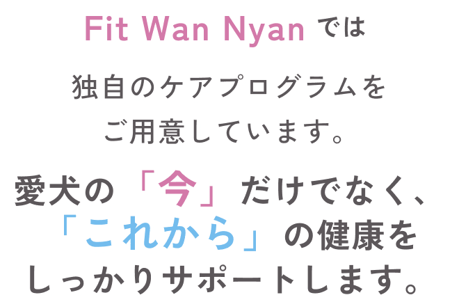 FitWanNyanでは、独自のケアプログラムを用意しています。愛犬の「今」だけでなく、「これから」の健康をしっかりサポートします。